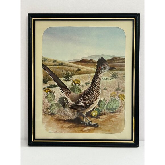 Radovich Other - Roadrunner Art Print Radovich 1962 Framed 8x10 Desert Landscape Cactus Flowers